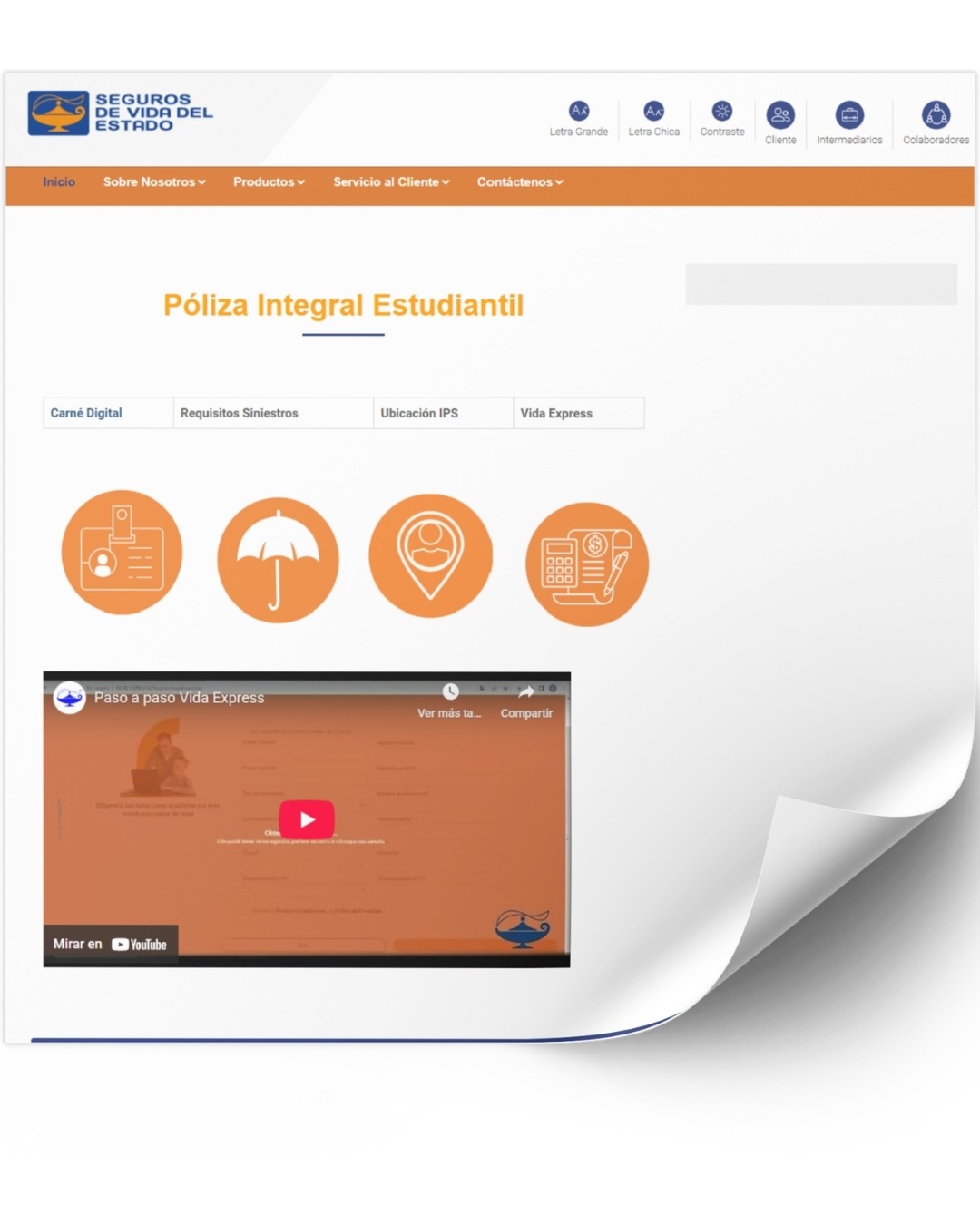 Descargar Seguro Estudiantil