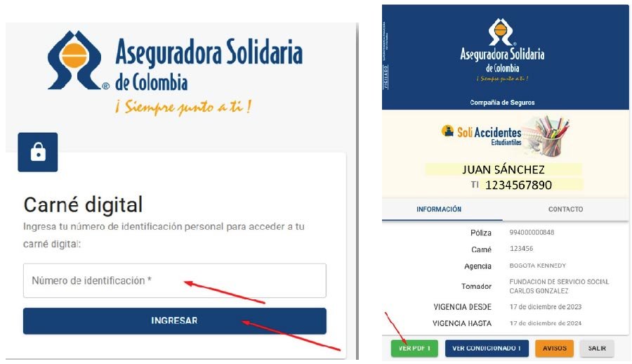 Descargar Seguro Estudiantil