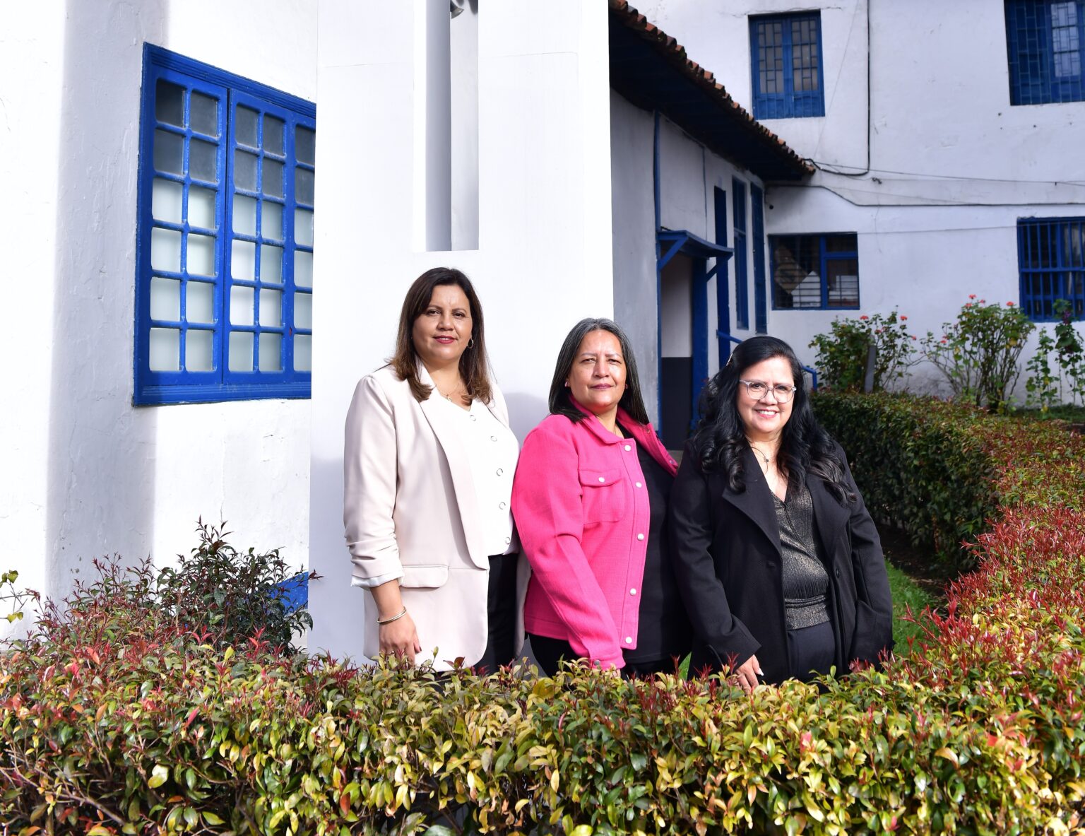 Área Funcional Académica