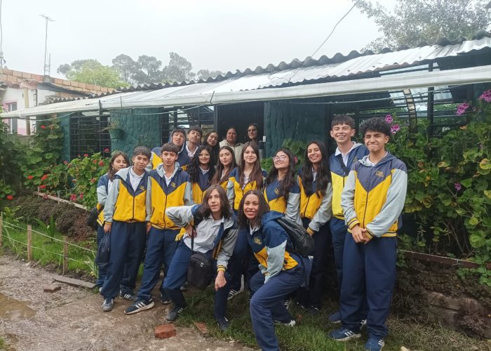 FAS 9°