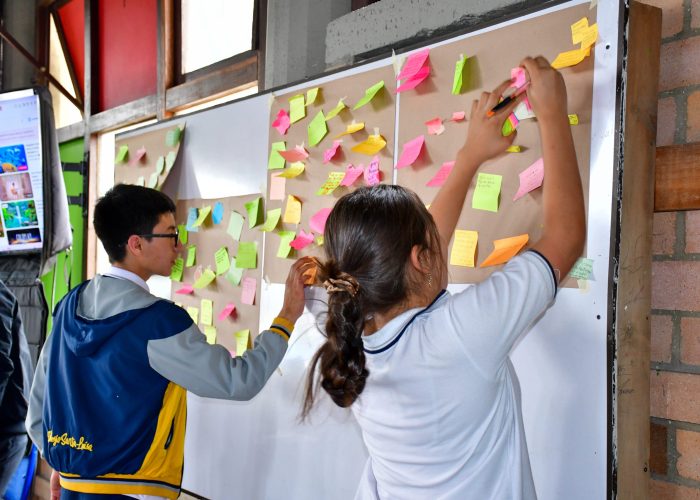 Ciudadanos Creativos para una Cultura de Paz y Lúdicas 2°, 7° y 9°
