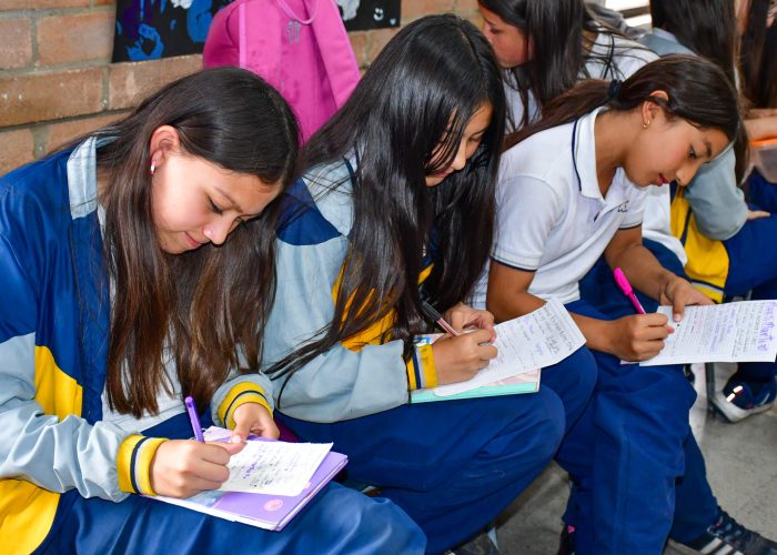 Ciudadanos Creativos para una Cultura de Paz y Lúdicas 2°, 7° y 9°