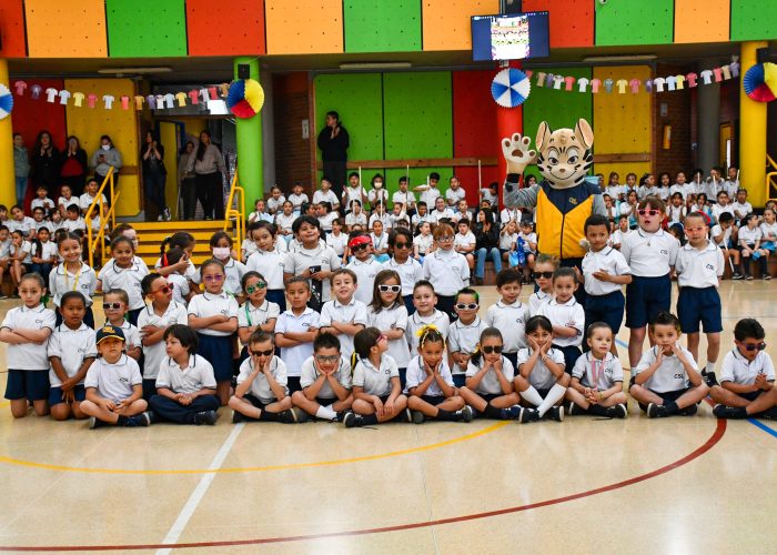 Preliminares Revistas CSL 2026