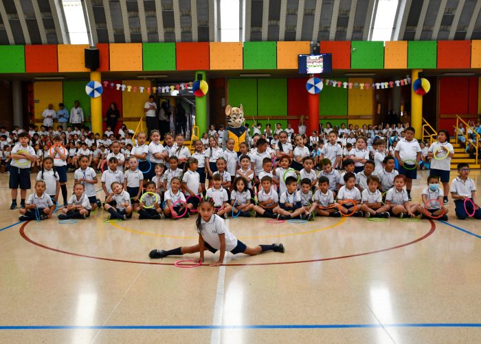 Preliminares Revistas CSL 2026