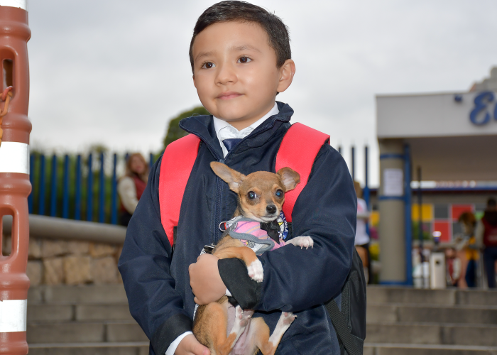 Feliz regreso a clases