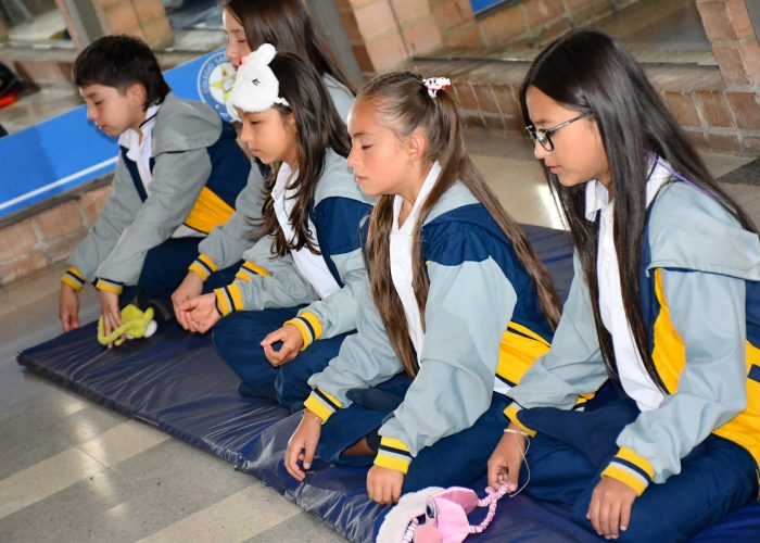 Jornada Bienestar Emocional Grados Preescolar y Cuarto