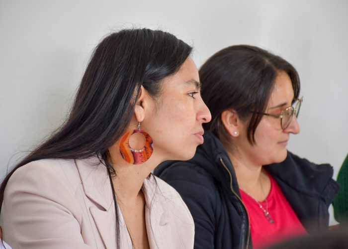 Instalación Comité de Inclusión