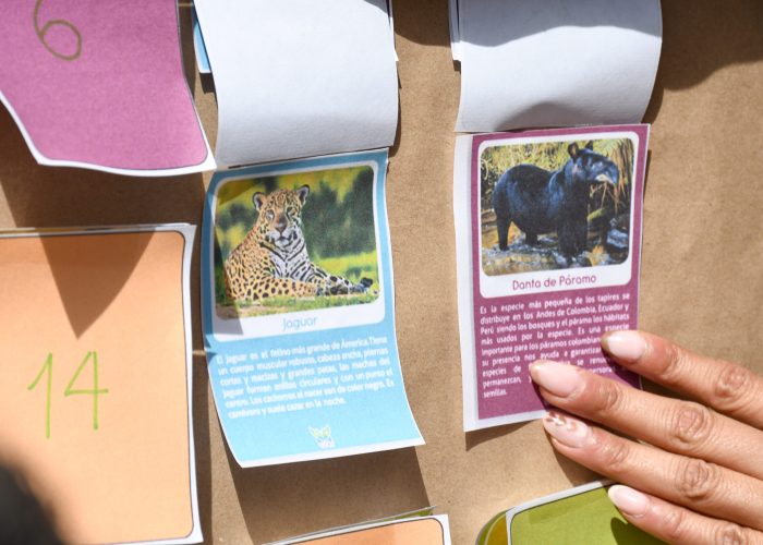 Estudiantes reflexionan sobre el cuidado del medio ambiente en la Semana de la Biodiversidad