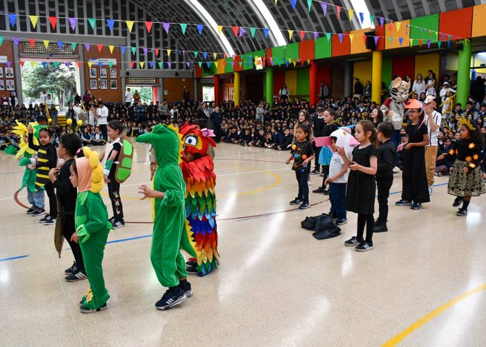 El Colegio Santa Luisa celebró la Feria Ambiental