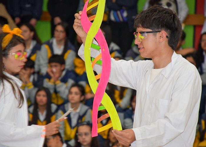 El Colegio Santa Luisa celebró la Feria Ambiental