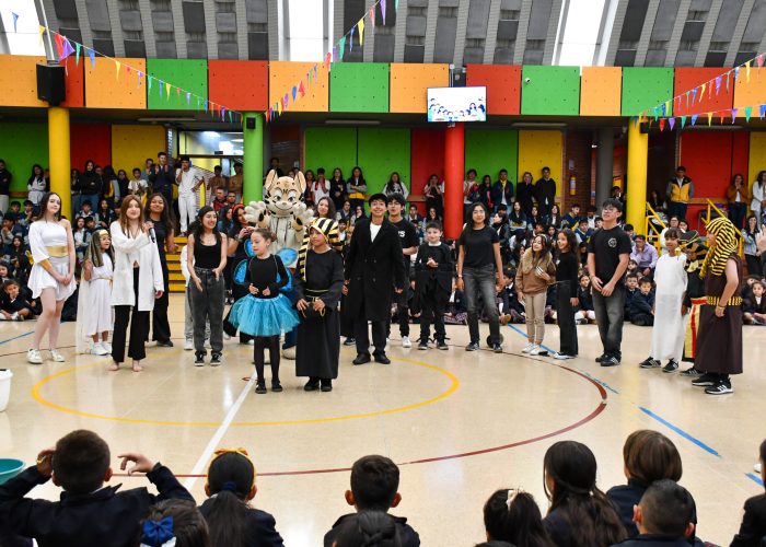 El Colegio Santa Luisa celebró la Feria Ambiental