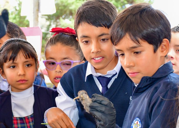 Semana de la Biodiversidad – Peña Ambiental