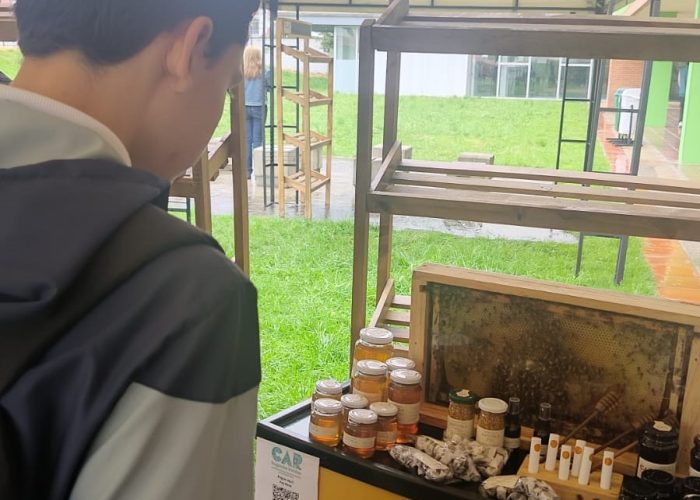 Estudiantes participaron en la Feria Colombiana de Educación Ambiental, realizada por Uniagraria