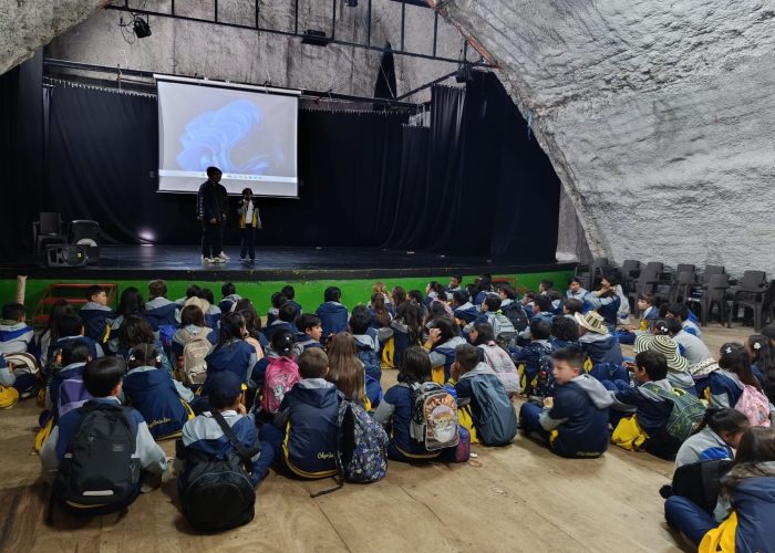 Formación en Acción Social 5° y 6°