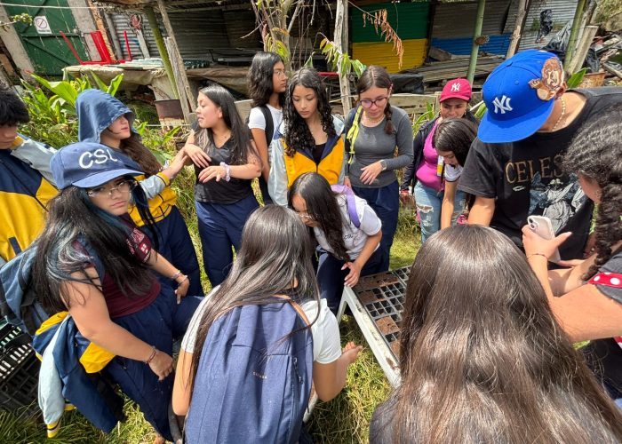 Proyecto Formación Acción Social: FAS Grado 10°