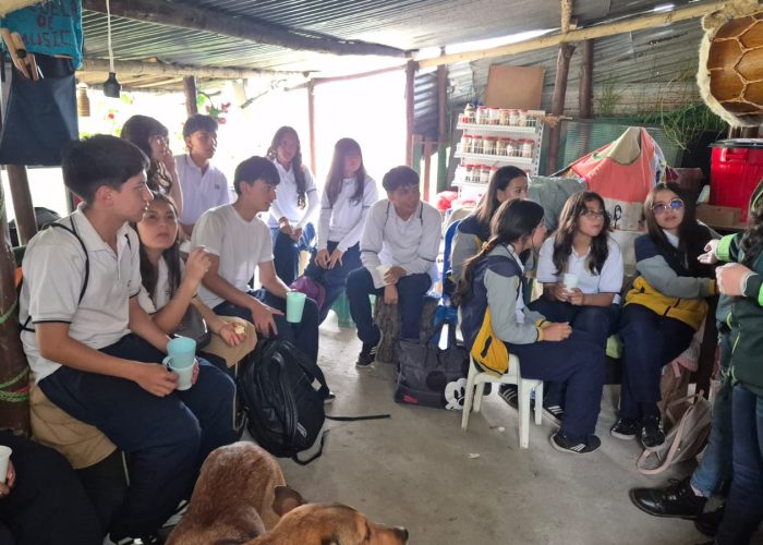 Proyecto Formación Acción Social: FAS Grado 10°