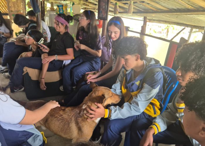 Proyecto Formación Acción Social: FAS Grado 10°