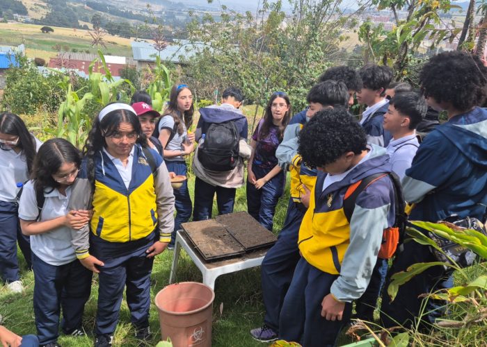 Proyecto Formación Acción Social: FAS Grado 10°