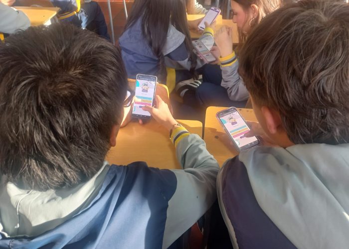 Aplicación de la Prueba PIVOC en Grado Décimo