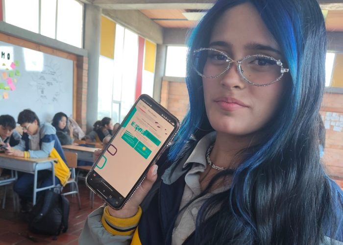 Aplicación de la Prueba PIVOC en Grado Décimo
