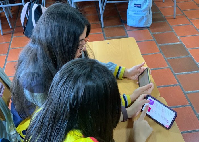 Aplicación de la Prueba PIVOC en Grado Décimo