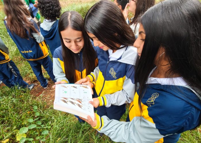 El Humedal Tingua Azul: un aula viva para fortalecer el cuidado de la Casa Común