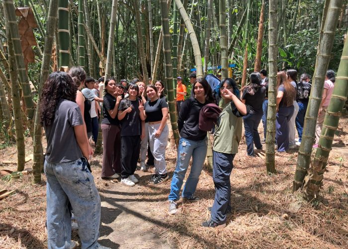 Día Especial 3°, 6° y 10° Salida Pedagógica