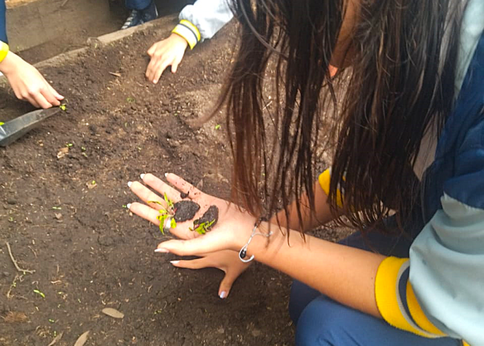 Capacitación con el Jardín Botánico fortalece el compromiso ambiental