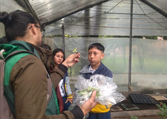 Capacitación con el Jardín Botánico fortalece el compromiso ambiental