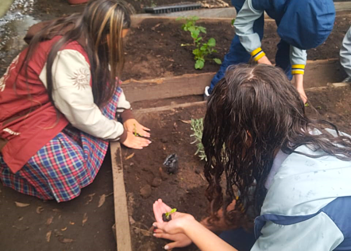 Capacitación con el Jardín Botánico fortalece el compromiso ambiental